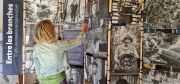 Exposition « Entre les branches, à l’affût des émotions partagées en forêt  »