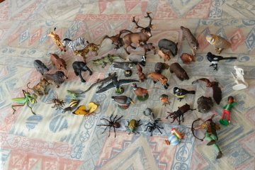 Jeu "Qui mange qui ? "