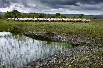 Exposition ParcourS - Concert : Le souffle du berger