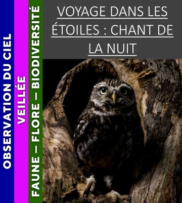 VERCORS - Voyage dans les étoiles : chant de la nuit