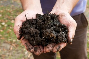 Découverte et démonstration autour du compost