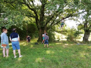 Les Estivales de Scie - Grimpe d'arbres