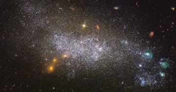 Café de l'Espace : Nuit des étoiles + Le Tarot de la nuit