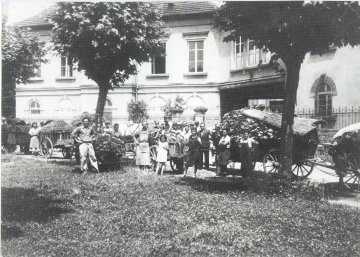 Devenez acteur du patrimoine sélestadien