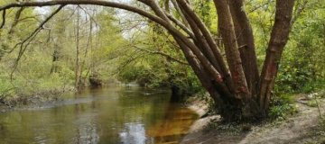 Pédalons au fil de l'eau : de Cantinolles à la Plaine de Gajac