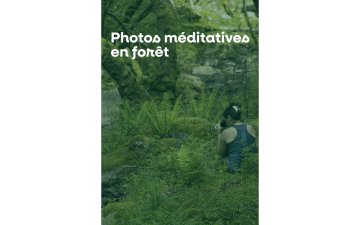 Photos méditatives en forêt