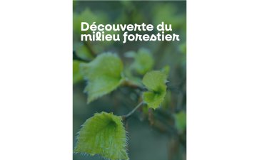 Découverte du milieu forestier