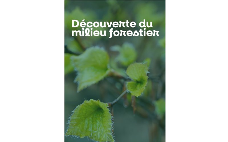 Découverte du milieu forestier