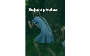 Safari photo