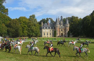 Les traits du Perche au château de Saint-Agil , visite du château , valorisation du cheval percheron, démonstrations, exposants, spectacle