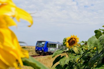 La Compagnie du Blanc Argent vous ouvre ses portes