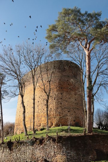 Visite guidée de la Tour Sarrasine