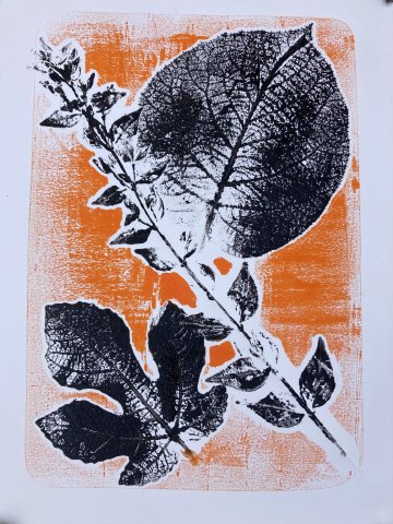 Atelier : monotypes de plantes