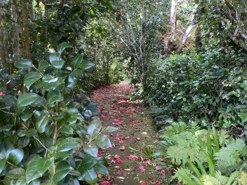 Des hommes et des plantes à La Réunion: découverte du jardin de La Vallée Heureuse