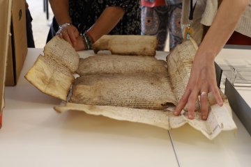 Atelier "La conservation en action"
