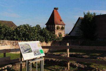 Découverte du Jardin Archéologique : trésors de l'époque médiévale