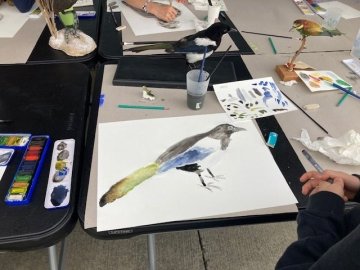 Atelier de dessin d'après nature