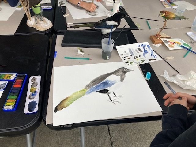 Atelier de dessin d'après nature