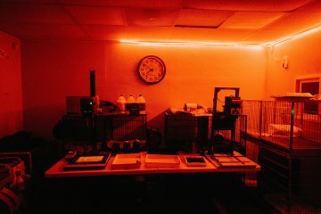 Découverte de la chambre noire argentique