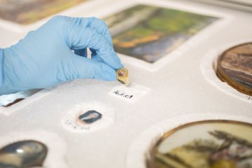 Visite guidée des réserves du musée Bertrand