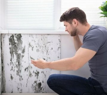 Votre logement est insalubre ?