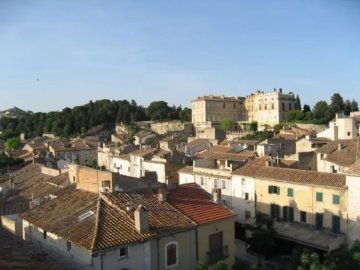 Visite guidée du centre médiéval, de l'église et du château