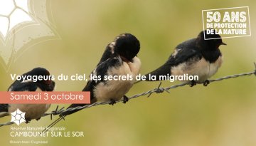 Voyageurs du ciel, les secrets de la migration