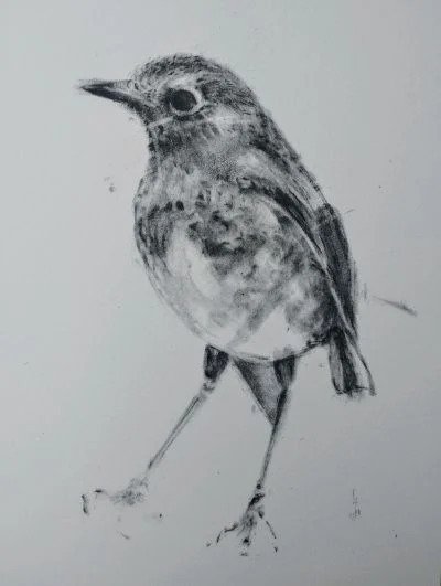 Atelier de découverte du dessin au fusain