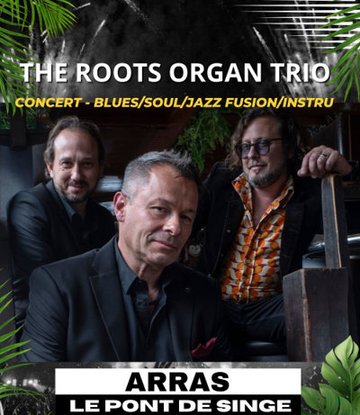 The Roots Organ Trio