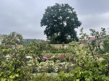 Promenade découverte des collections de fleurs, fruitiers, légumes du Potager des Etournelles et de son parc. Visite de la grange du 17ème