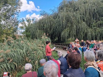 Visite commentée : le Moulin du Marais à l'honneur