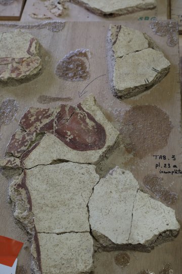 Un centre dédié aux décors romains, unique en Europe : Centre d’études des Peintures murales romaines