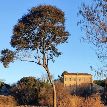 Les moulins de la Bastide Sainte Cecile des Arcs - Ecomusée de l'Olive