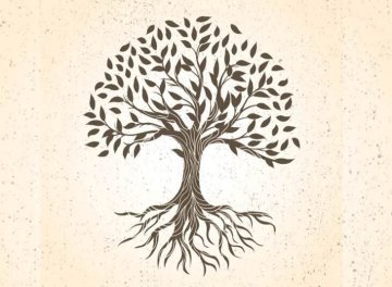 Initiation à la généalogie