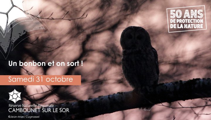 Un bonbon et on sort 🎃