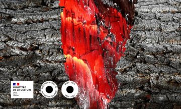Conférence "Etre arbre" en art contemporain
