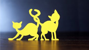 Je[ux] découpe : Crée ton cadre immersif
avec Elina Renard