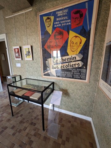 Visite guidée de l'exposition consacrée à Alain Delon