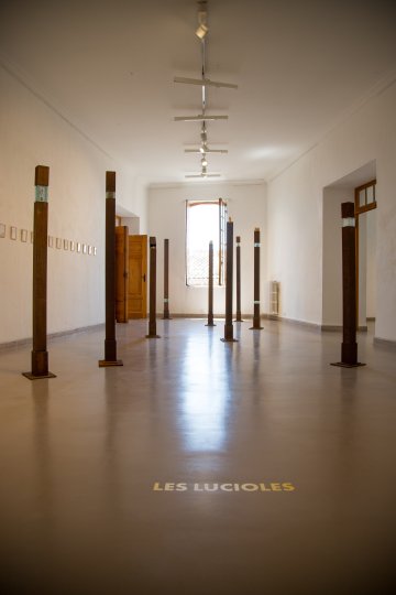 Visite guidée de l'exposition "Les Lucioles"