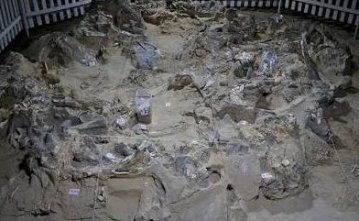 Comment protéger le patrimoine archéologique en zone de guerre ? Exemple de l'Ukraine.