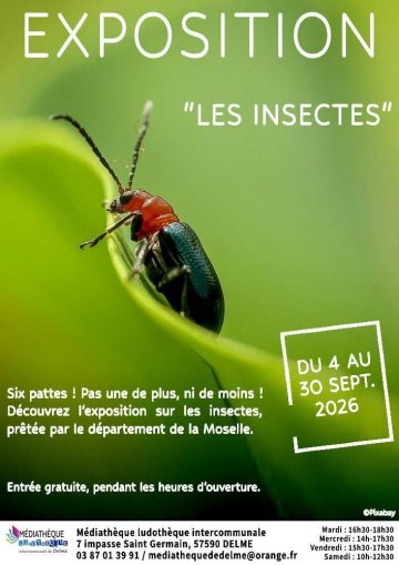 Exposition « Les Insectes »