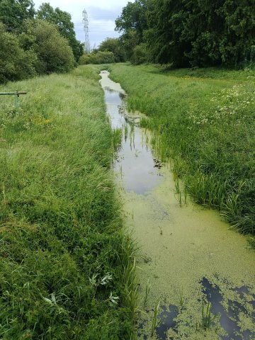 JeP - Balade au fil de l'eau à Coignières