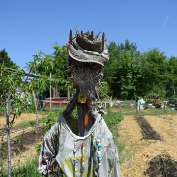 Exposition photographique "Jardins cultivés - Rêves partagés"
