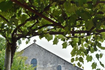 Conférence : "Viticulture en Saintonge pendant l'époque romaine"