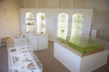 Ateliers pédagogiques et créatifs au musée de Champagnole !