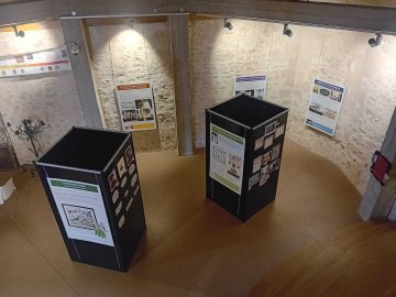 Exposition La Boldoflorine, l'usine et sa célèbre tisane