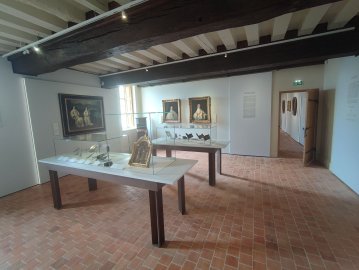 Visites guidées du musée par ses personnels scientifiques