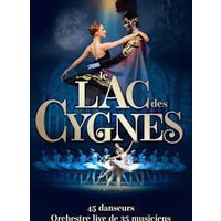 Le lac des cygnes
