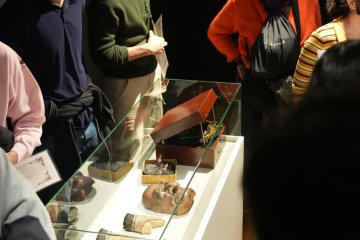 Les Journées Européennes du Patrimoine 2026 au musée