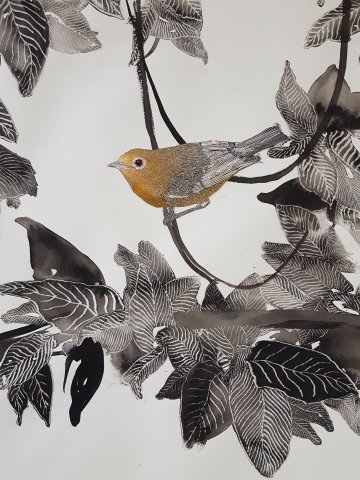 Exposition à Laon :  "Il y a des fleurs partout pour qui veut bien les voir"